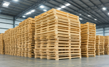 ile wazy europaleta - e-vipol.pl