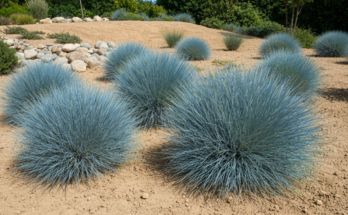 sila turkoglu czy ma meza i dzieci wiek wzrost i rodzina znanego aktorki 12 - e-vipol.pl