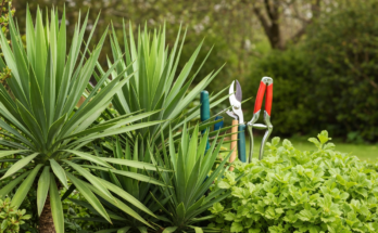 sila turkoglu czy ma meza i dzieci wiek wzrost i rodzina znanego aktorki 2 - e-vipol.pl