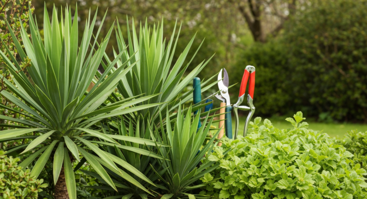 sila turkoglu czy ma meza i dzieci wiek wzrost i rodzina znanego aktorki 2 - e-vipol.pl