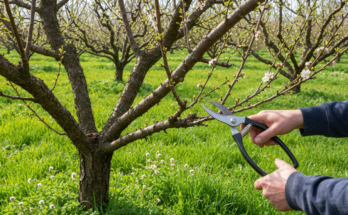 sila turkoglu czy ma meza i dzieci wiek wzrost i rodzina znanego aktorki 8 - e-vipol.pl